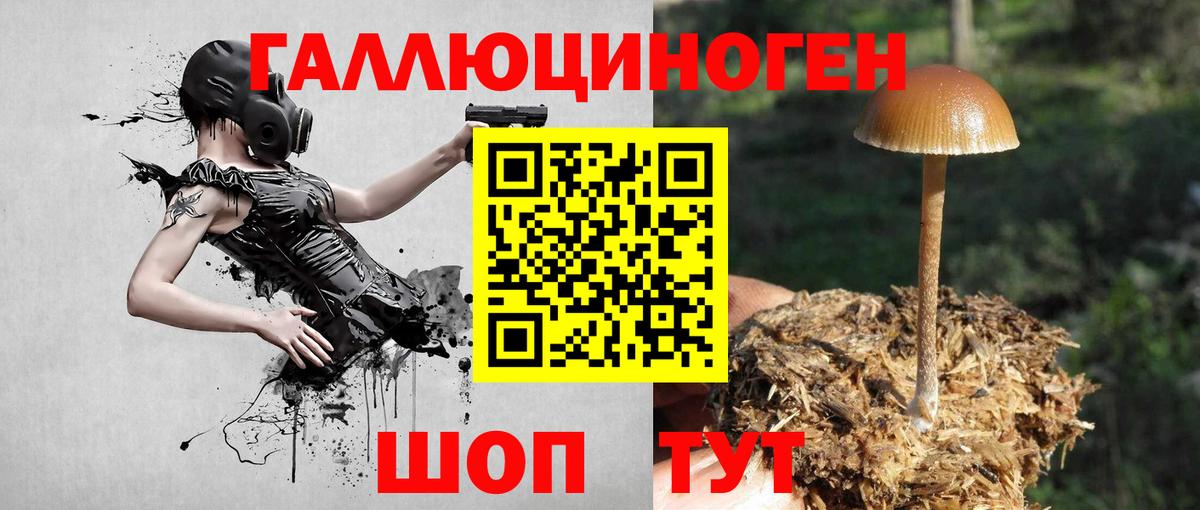 Псилоцибиновые грибы мухоморы  Вход с VPN  Кировск 